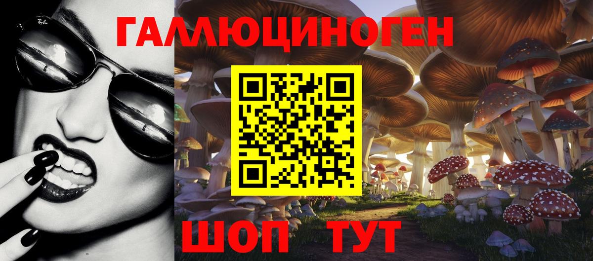Галлюциногенные грибы MAGIC MUSHROOMS  Галлюциногенные грибы Magic Shrooms  Назрань  Вход с VPN 